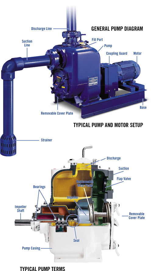 General Pump Diagram, Typical Pump and Motor Setup, and Typical Pump Terms